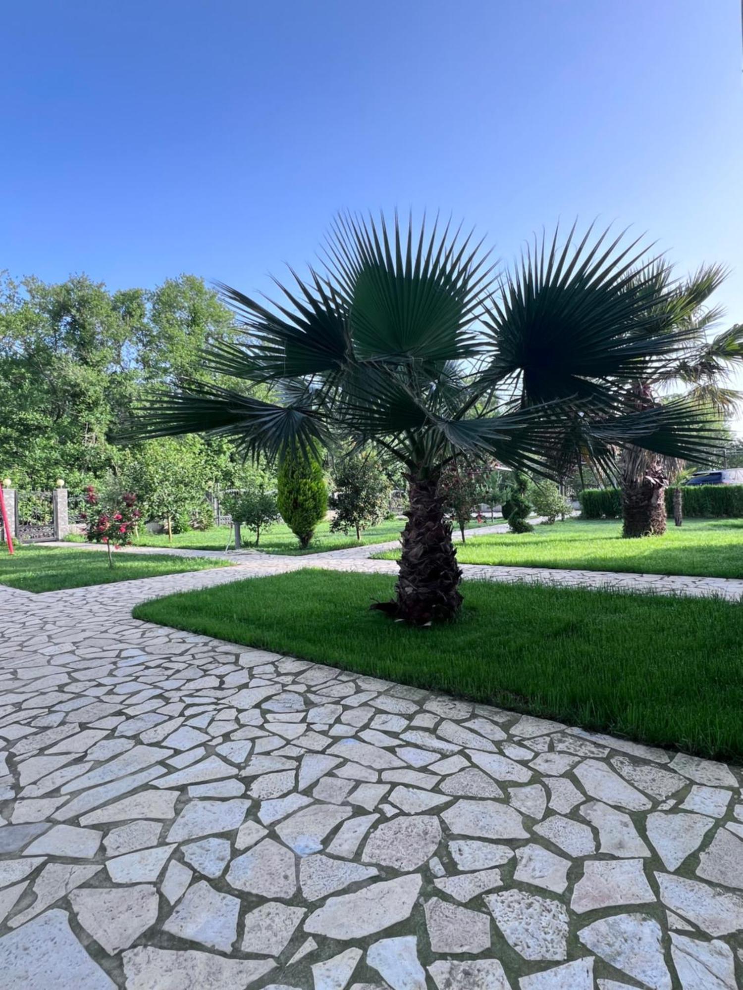Residence Leora Улцин Екстериор снимка